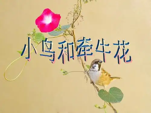 小鸟和牵牛花课件