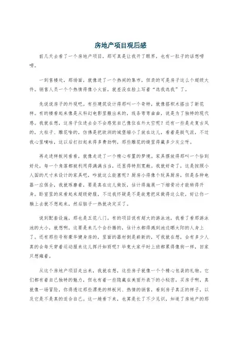 房地产项目观后感