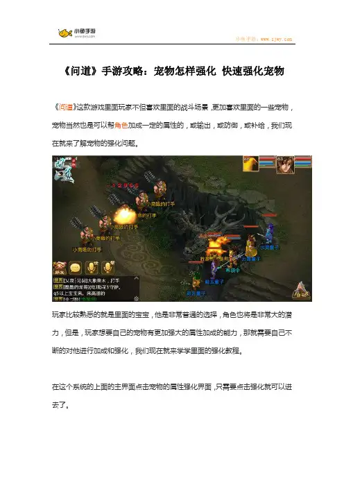 《问道》手游攻略：宠物怎样强化 快速强化宠物