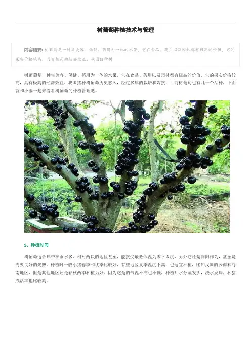 树葡萄种植技术与管理