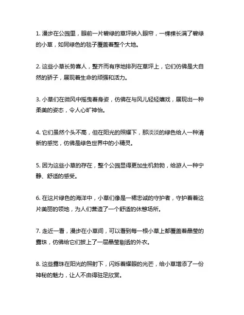 公园里一棵棵长满了碧绿的小草仿写句子