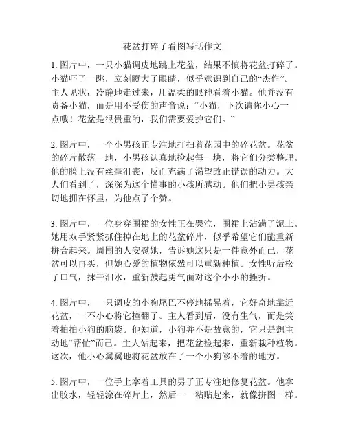 花盆打碎了看图写话作文