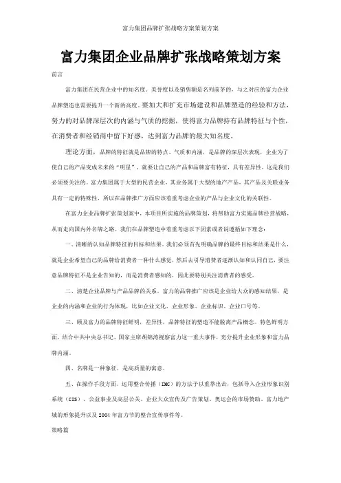 富力集团品牌扩张战略方案策划方案