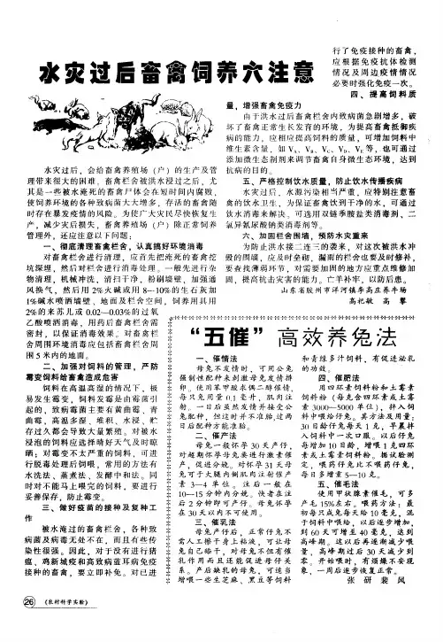 “五催”高效养兔法