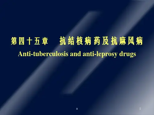 抗结核病药及抗麻风病