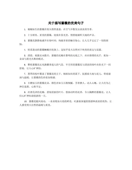 关于描写蔷薇的优美句子