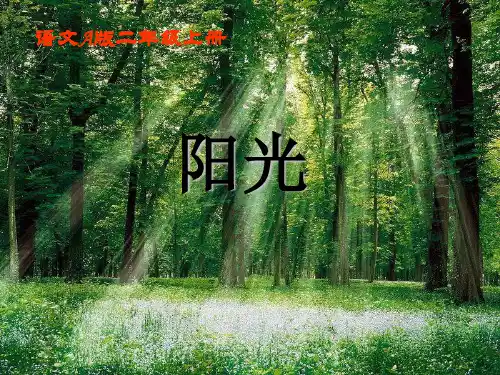 语文a版二年级上册《阳光》 2