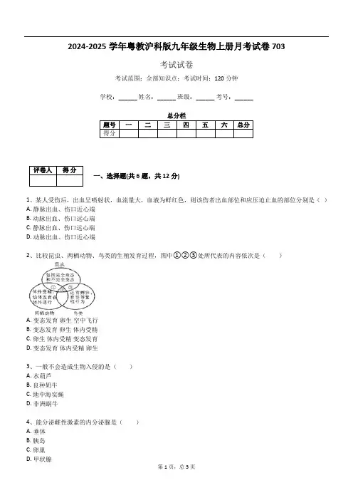 2024-2025学年粤教沪科版九年级生物上册月考试卷703