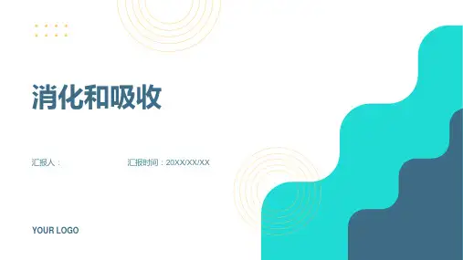 生物七年级下册第二章第二节 消化和吸收