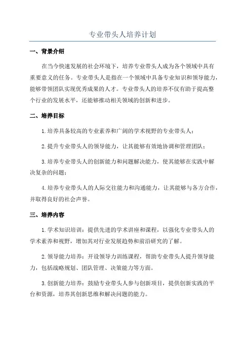 专业带头人培养计划