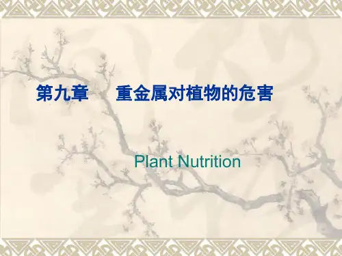 重金属对植物的危害