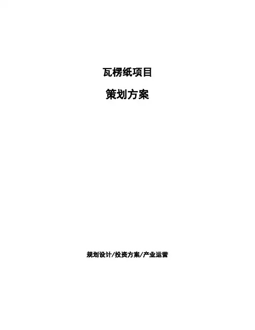 瓦楞纸项目策划方案 (3)