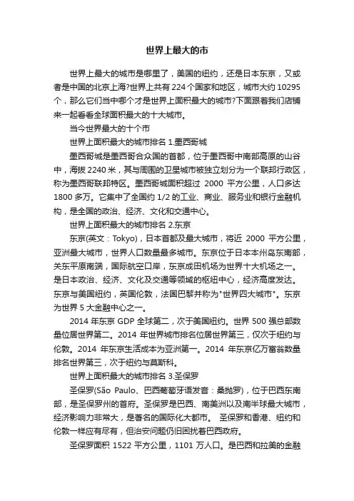 世界上最大的市