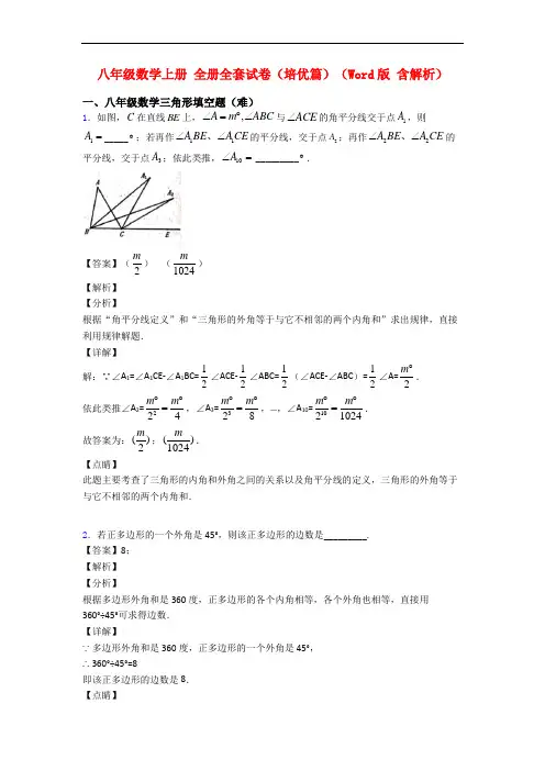 八年级数学上册 全册全套试卷(培优篇)(Word版 含解析)