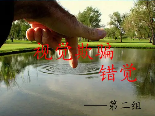 视觉欺骗ppt
