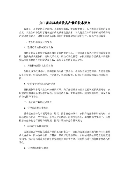加工番茄机械采收高产栽培技术要点