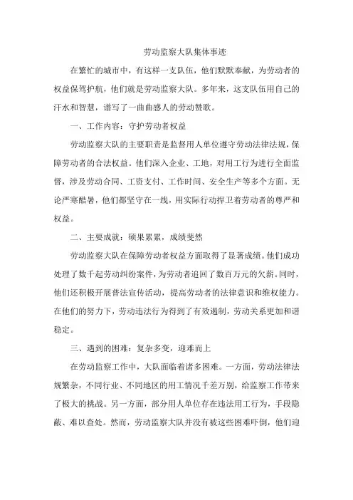劳动监察大队集体事迹