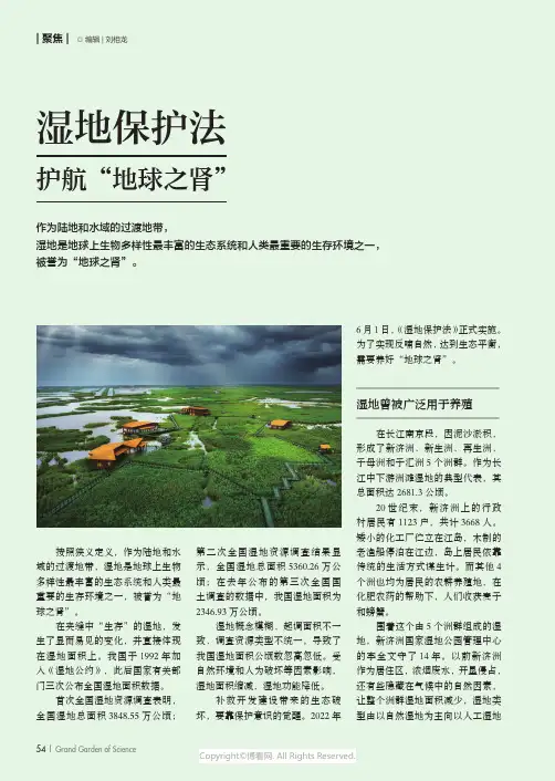 湿地保护法 护航“地球之肾”