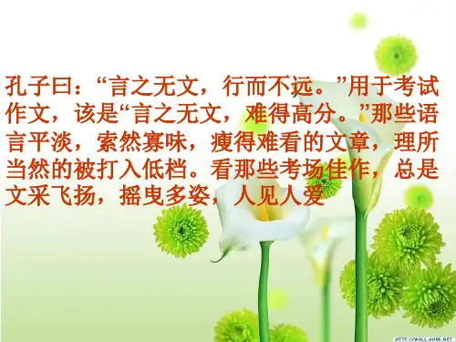中考作文指导——如何使你的语言“靓”起来ppt优秀课件