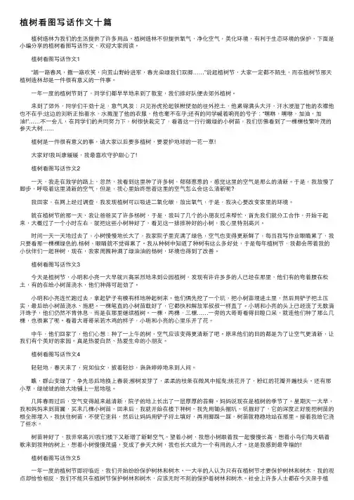 植树看图写话作文十篇