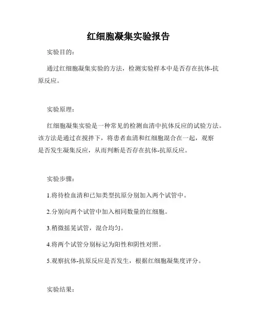 红细胞凝集实验报告