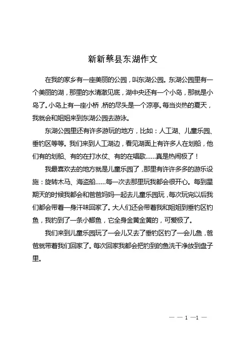 新新蔡县东湖作文