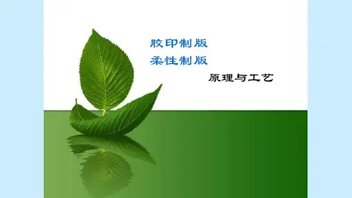 胶印制版原理与工艺