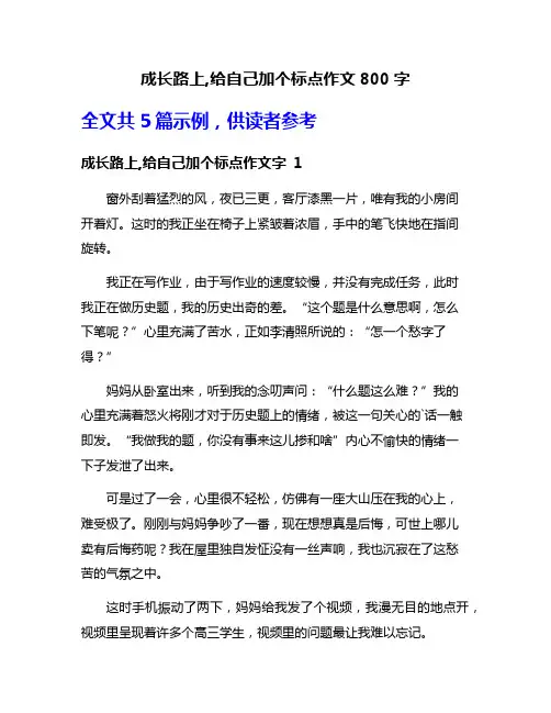 成长路上,给自己加个标点作文800字