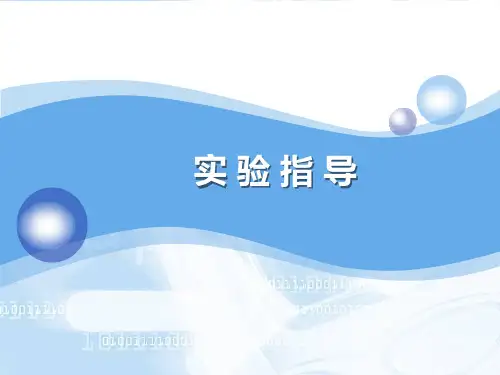 计算机应用基础-实验指导