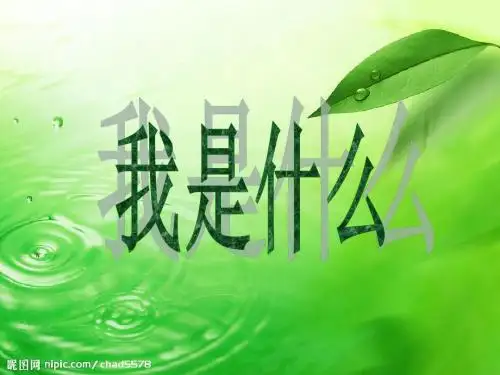 二年级语文上册我是什么PPT课件3