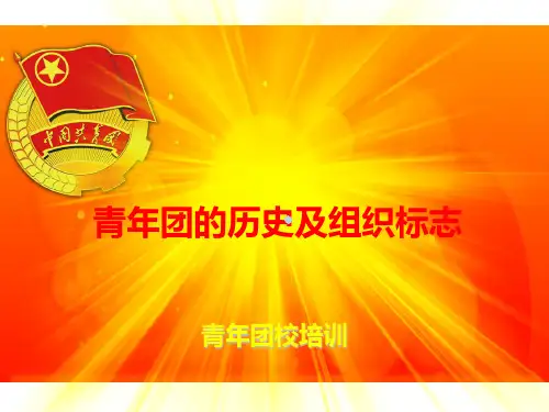 共青团的历史及共青团组织的标志PPT课件