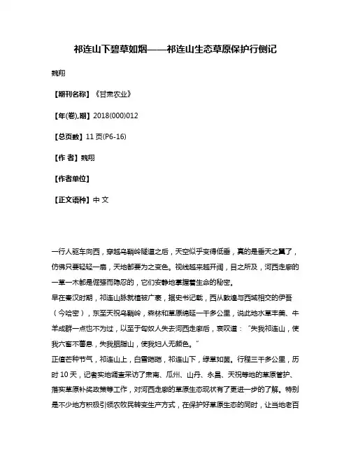 祁连山下碧草如烟——祁连山生态草原保护行侧记