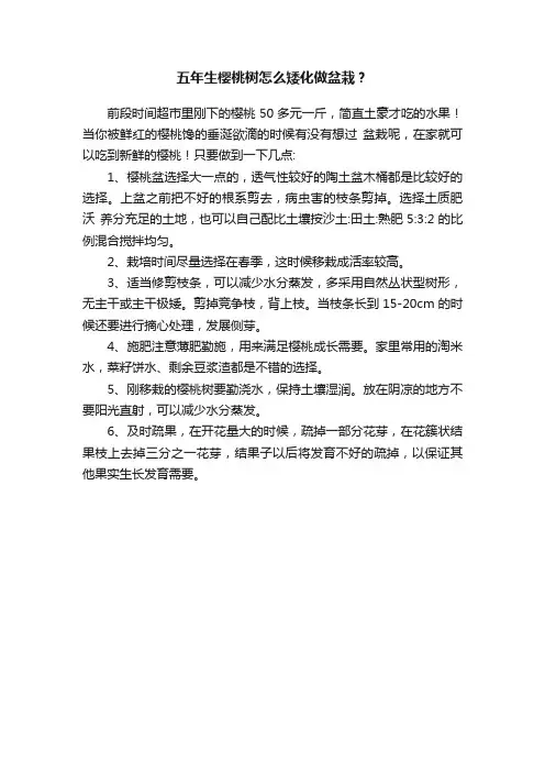 五年生樱桃树怎么矮化做盆栽？