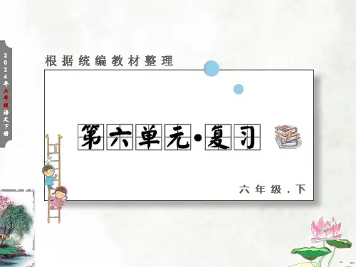 六年级下册语文第六单元复习课件(共19张PPT)