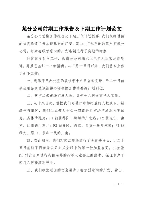 某分公司前期工作报告及下期工作计划范文