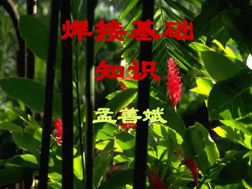 第五节 焊接接头常见缺陷