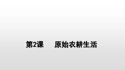 人教部编版七年级历史上册 第2课  原始农耕生活课件(共25张PPT)