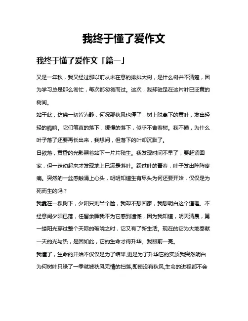 我终于懂了爱作文