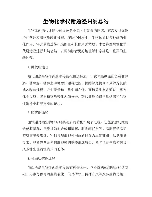 生物化学代谢途径归纳总结