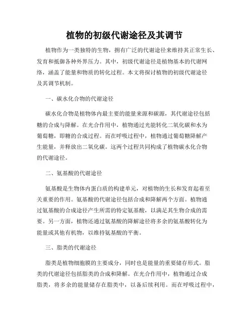 植物的初级代谢途径及其调节