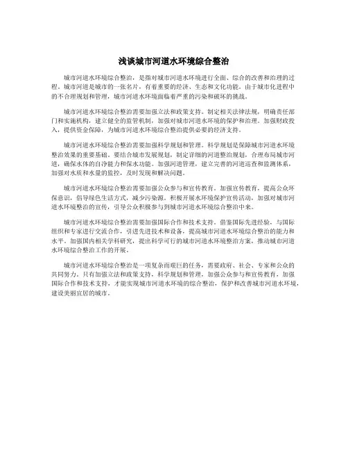 浅谈城市河道水环境综合整治