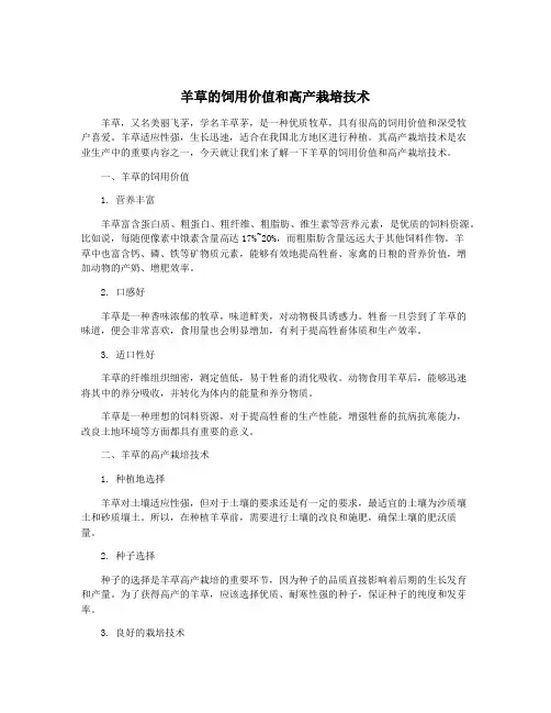羊草的饲用价值和高产栽培技术