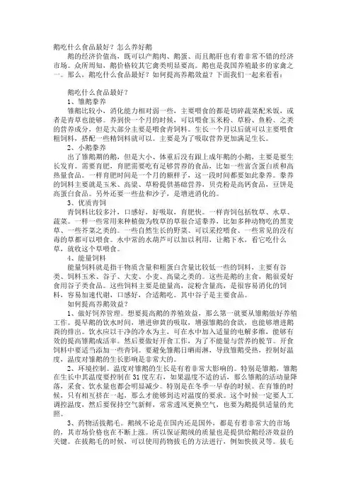 鹅吃什么食物最好？怎么养好鹅