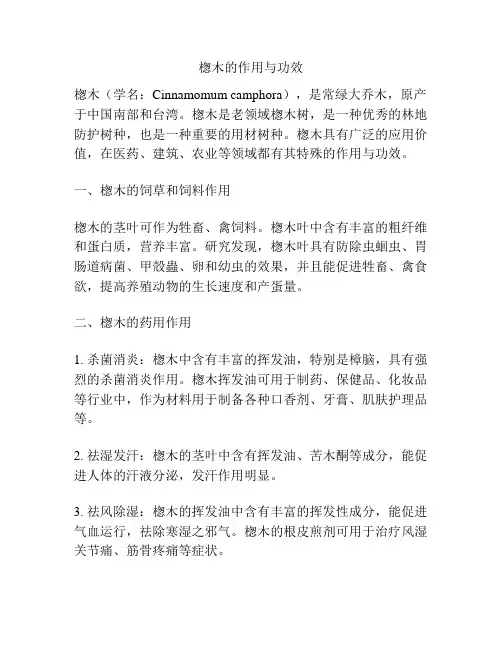 楤木的作用与功效
