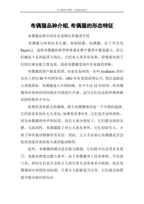 布偶猫品种介绍,布偶猫的形态特征