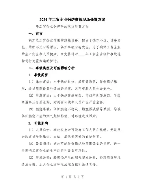 2024年工贸企业锅炉事故现场处置方案