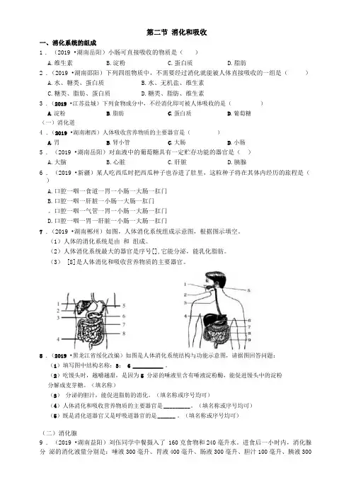 2019年中考生物真题分类：消化和吸收