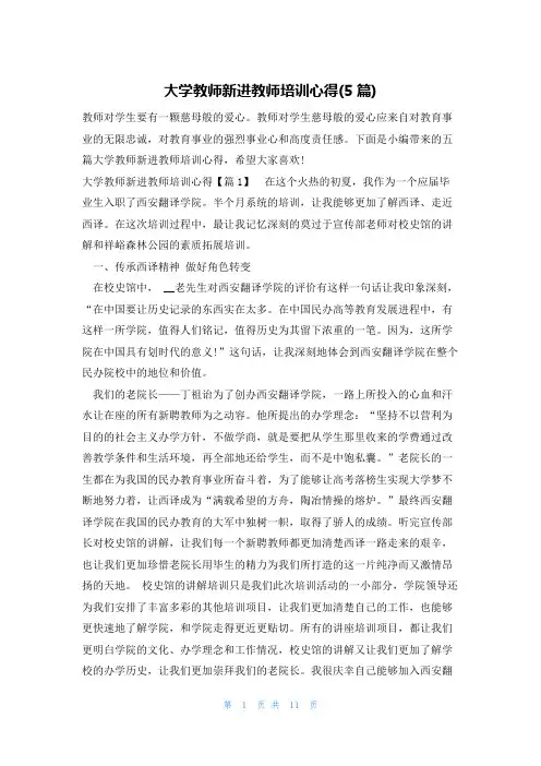 大学教师新进教师培训心得(5篇)
