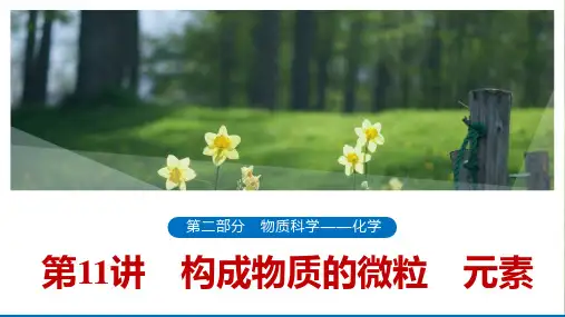 浙江省中考科学一轮复习：第11讲构成物质的微粒元素(课件59张)