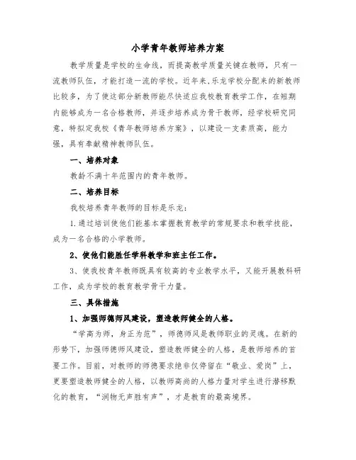 小学青年教师培养方案（3篇）